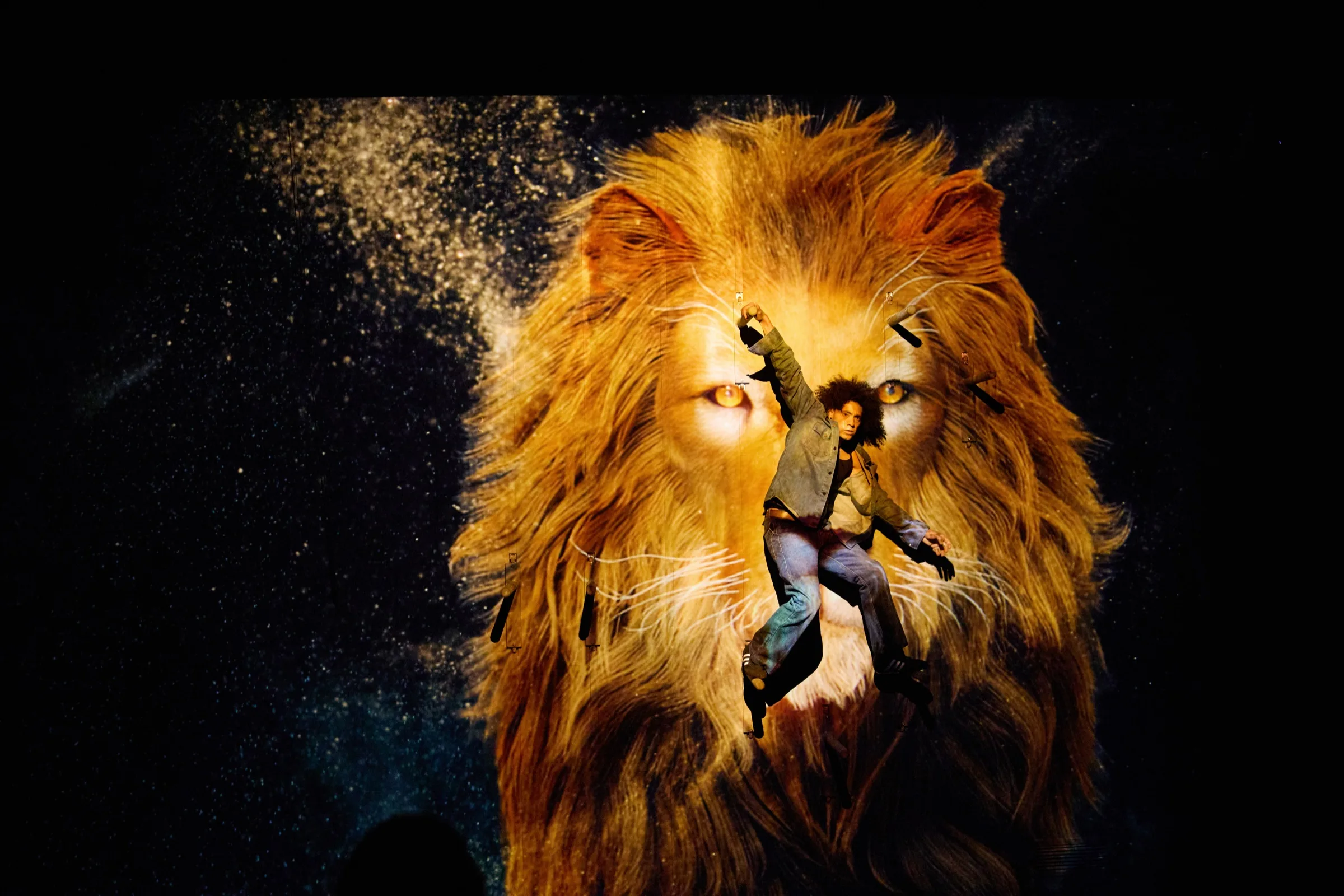 Aerial performer suspended before a giant projected golden lion